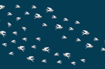 Ceramic Bird Arrangement On Bedroom Wall – Playing Around With Options